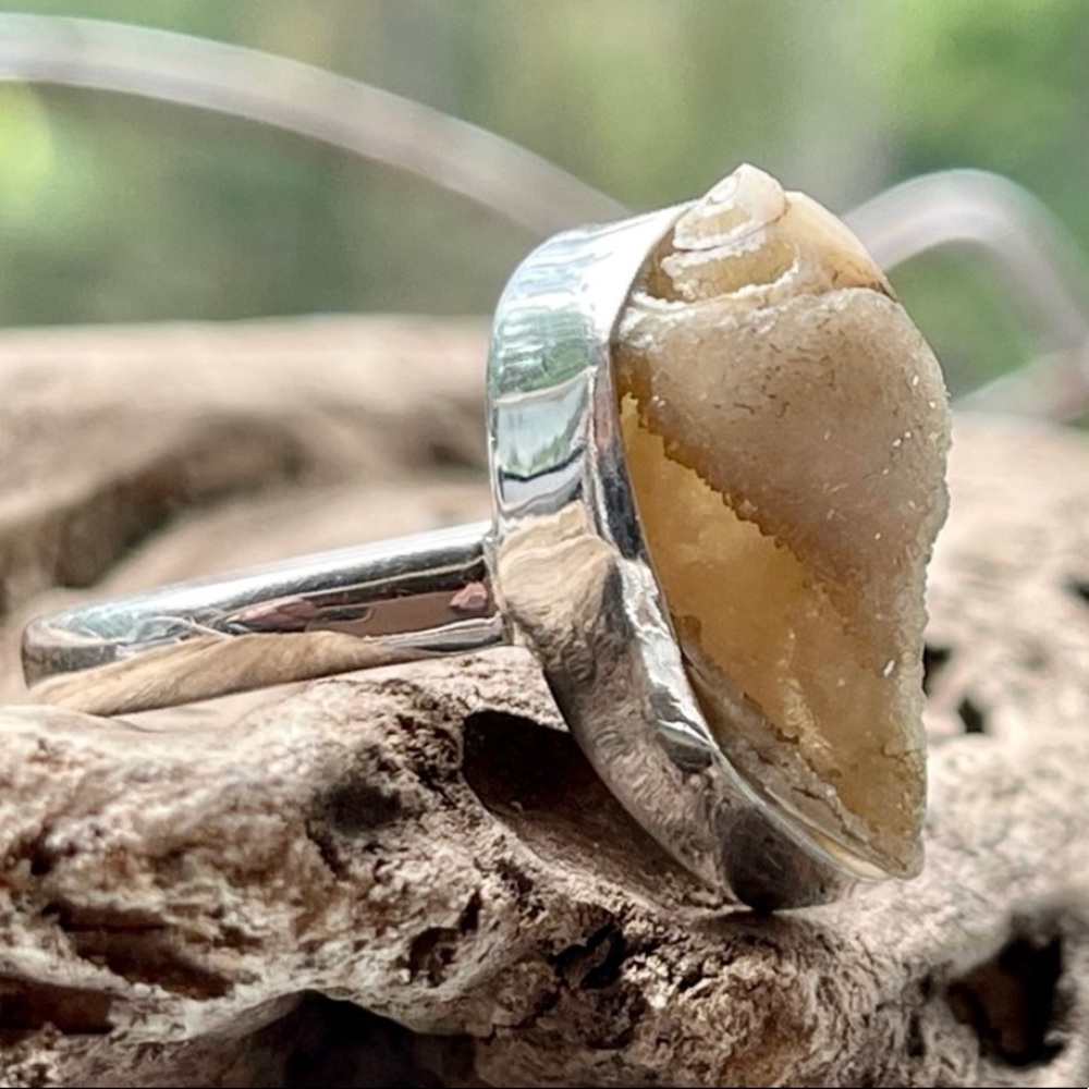 Incredible Natural Spiralite Fossil Druzy GemShell Ring | sz 10.25 - Picture 1 of 13